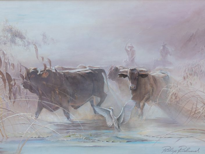 HERD BULLS AND EGRET